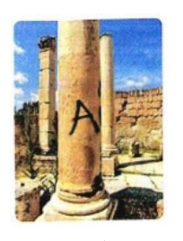 شكل السؤال