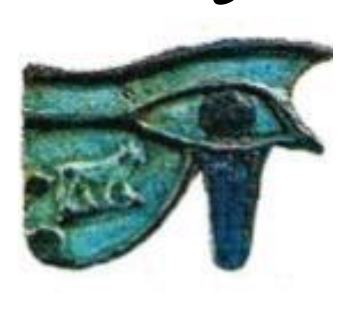 شكل السؤال
