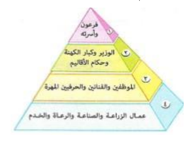 شكل السؤال